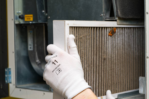 Best Ductwork Cleaning Services  in Graysville, AL