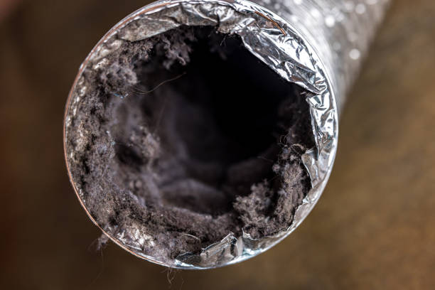 Best Duct Cleaning for Homes  in Graysville, AL