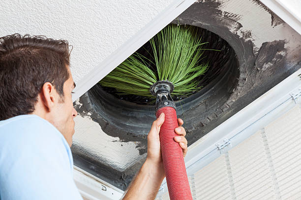 Best Local Air Duct Cleaning Services  in Graysville, AL